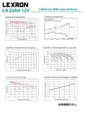 Lexron 24AH 12V Jel Akü