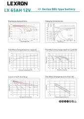 Lexron 65AH 12V Jel Akü
