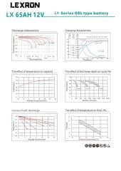 Lexron 65AH 12V Jel Akü